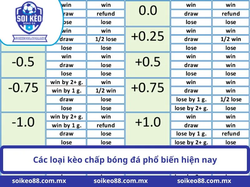 Kèo Chấp Là Gì? Hướng Dẫn Soi Kèo Bóng Đá Từ A Đến Z 2 Các loại kèo chấp bóng đá phổ biến hiện nay