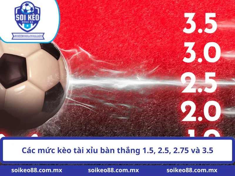 Kèo Tổng Bàn Thắng Là Gì? Cách Tính Và Các Mức Kèo 2 Các mức kèo tài xỉu bàn thắng 1.5, 2.5, 2.75 và 3.5