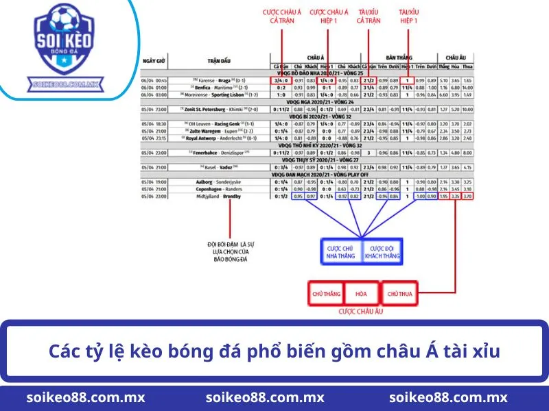 Các Tỷ Lệ Kèo Trong Bóng Đá Là Gì? Cách Đọc Và Phân Tích 2 Các tỷ lệ kèo trong bóng đá phổ biến gồm châu Á tài xỉu