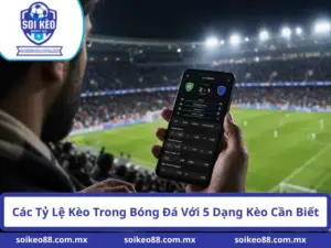 Các Tỷ Lệ Kèo Trong Bóng Đá Với 5 Dạng Kèo Cần Biết