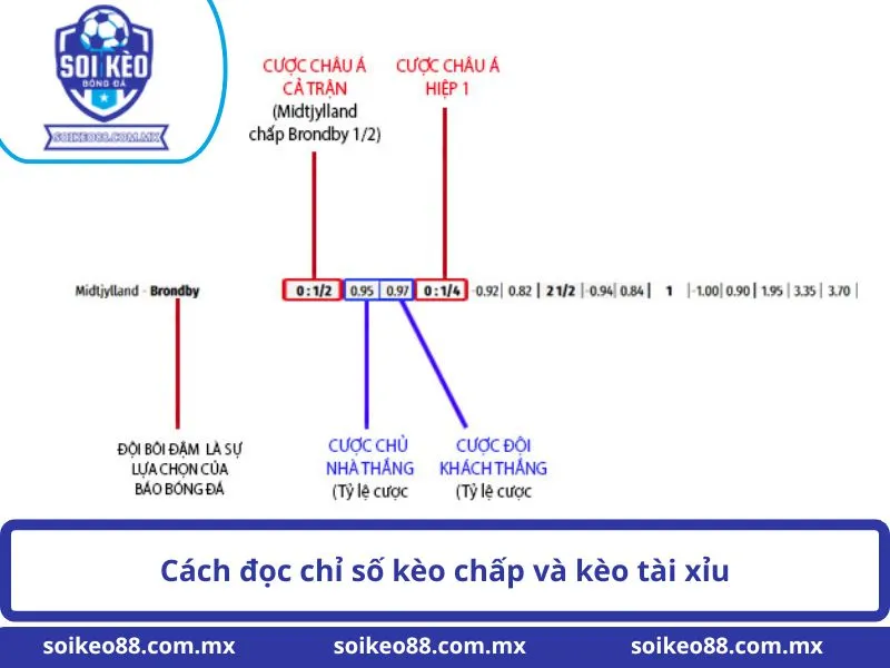Các Tỷ Lệ Kèo Trong Bóng Đá Là Gì? Cách Đọc Và Phân Tích 3 Cách đọc chỉ số kèo chấp và kèo tài xỉu