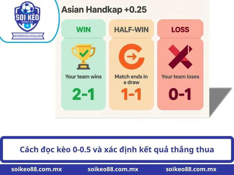 Kèo 0-0.5 Là Gì? Cách Đọc Tỷ Lệ Bóng Đá Chuẩn Xác 3 Cách đọc kèo 0-0.5 và xác định kết quả thắng thua