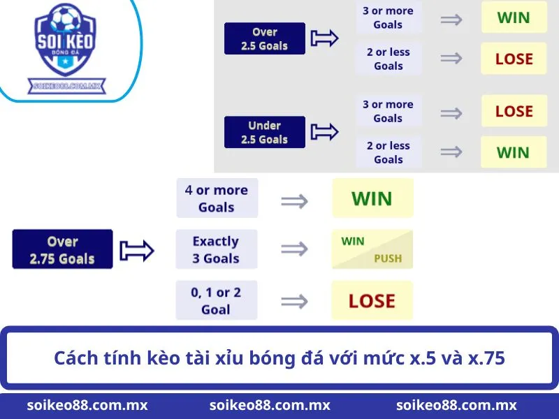 Kèo Tài Xỉu Là Gì: Bản Chất Và Phương Pháp Đọc Số Liệu 2 Cách tính kèo tài xỉu bóng đá với mức x.5 và x.75