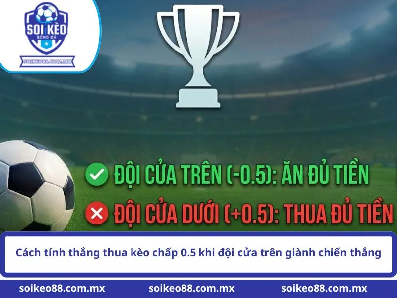 Cách tính thắng thua kèo chấp 0.5 khi đội cửa trên giành chiến thắng