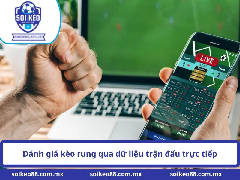 Đánh giá kèo rung qua dữ liệu trận đấu trực tiếp