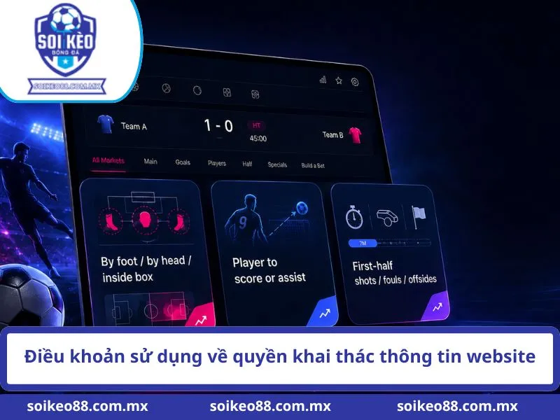 Điều khoản sử dụng về quyền khai thác thông tin website