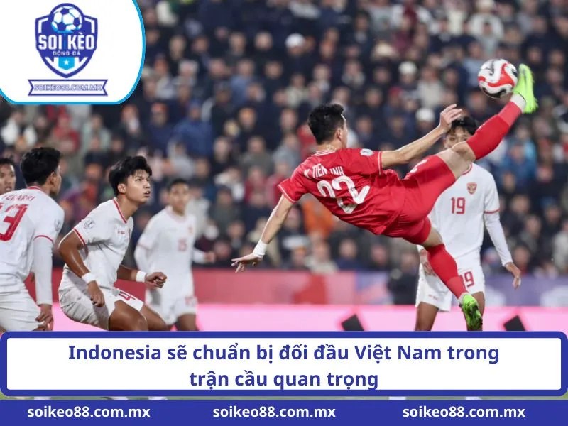 Indonesia sẽ chuẩn bị đối đầu Việt Nam trong trận cầu quan trọng