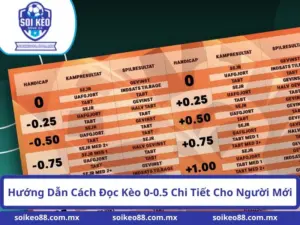 Hướng Dẫn Cách Đọc Kèo 0-0.5 Chi Tiết Cho Người Mới