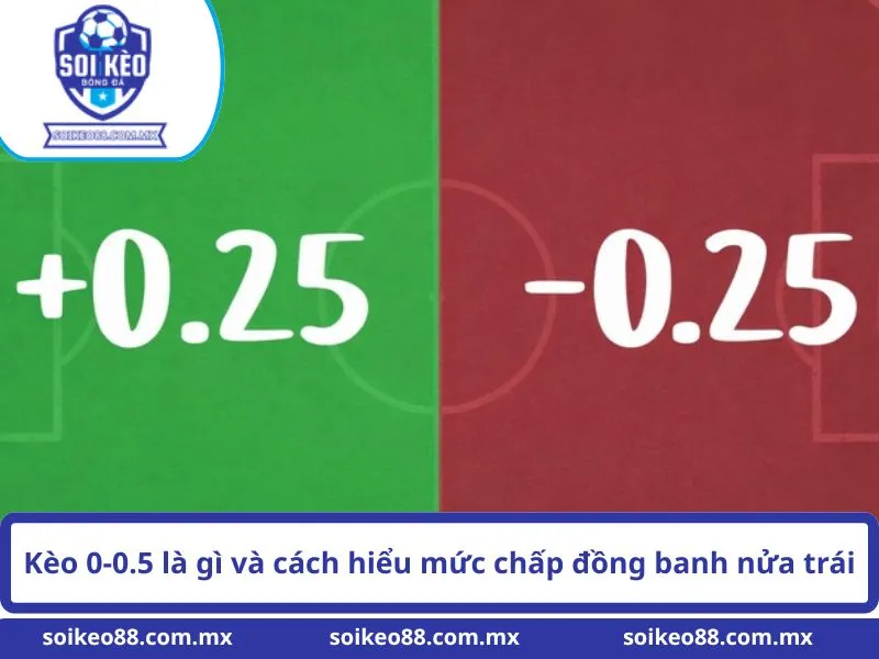 Kèo 0-0.5 Là Gì? Cách Đọc Tỷ Lệ Bóng Đá Chuẩn Xác 1 Kèo 0-0.5 là gì và cách hiểu mức chấp đồng banh nửa trái