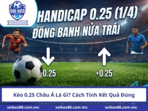 Kèo 0.25 Châu Á Là Gì? Cách Tính Kết Quả Đúng
