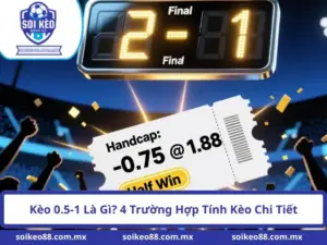 Kèo 0.5-1 Là Gì? 4 Trường Hợp Tính Kèo Chi Tiết