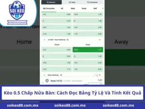 Kèo 0.5 Chấp Nửa Bàn: Cách Đọc Bảng Tỷ Lệ Và Tính Kết Quả