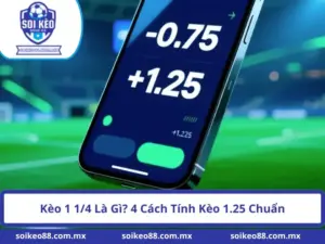 Kèo 1 1/4 Là Gì? 4 Cách Tính Kèo 1.25 Chuẩn