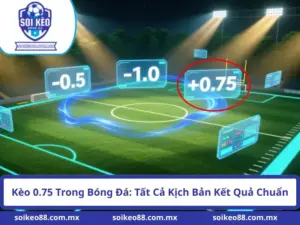 Kèo 0.75 Trong Bóng Đá: Tất Cả Kịch Bản Kết Quả Chuẩn