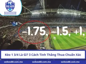 Kèo 1 3/4 Là Gì? 3 Cách Tính Thắng Thua Chuẩn Xác