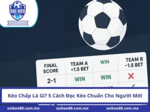 Kèo Chấp Là Gì? 5 Cách Đọc Kèo Chuẩn Cho Người Mới