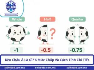 Kèo Châu Á Là Gì? 6 Mức Chấp Và Cách Tính Chi Tiết