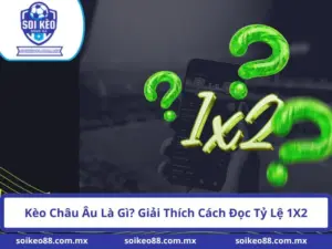 Kèo Châu Âu Là Gì? Giải Thích Cách Đọc Tỷ Lệ 1X2