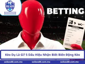 Kèo Dụ Là Gì? 5 Dấu Hiệu Nhận Biết Biến Động Kèo