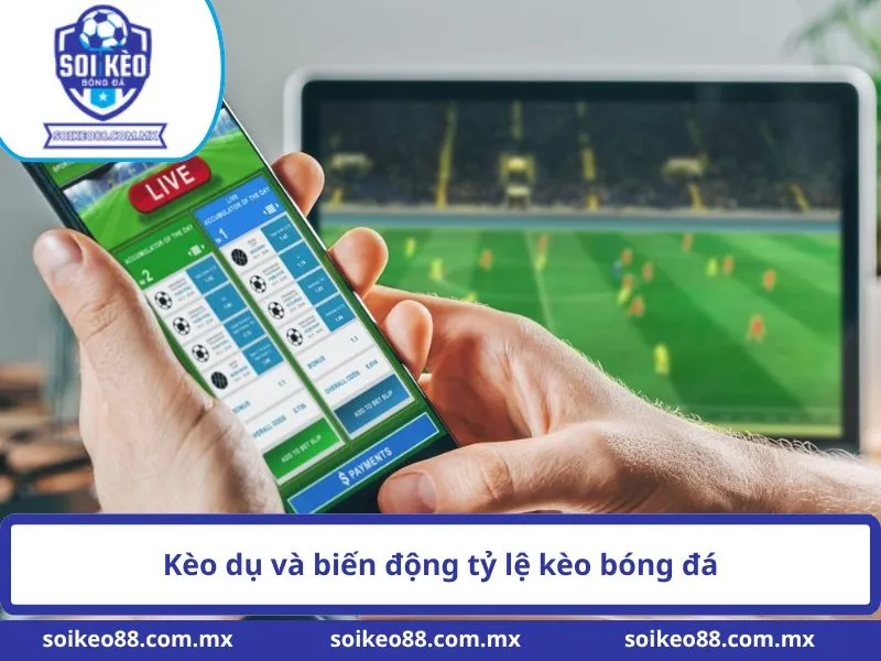 Kèo Dụ Trong Bóng Đá Là Gì? Cách Nhận Biết Tỷ Lệ Bất Thường 1 Kèo dụ và biến động tỷ lệ kèo bóng đá