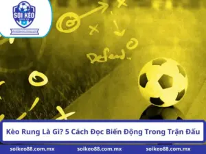 Kèo Rung Là Gì? 5 Cách Đọc Biến Động Trong Trận Đấu
