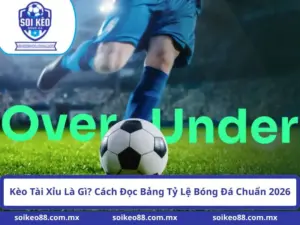 Kèo Tài Xỉu Là Gì? Cách Đọc Bảng Tỷ Lệ Bóng Đá Chuẩn 2026