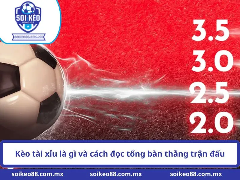 Kèo Tài Xỉu Là Gì: Bản Chất Và Phương Pháp Đọc Số Liệu 1 Kèo tài xỉu là gì và cách đọc tổng bàn thắng trận đấu