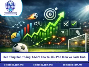 Kèo Tổng Bàn Thắng: 6 Mức Kèo Tài Xỉu Phổ Biến Và Cách Tính