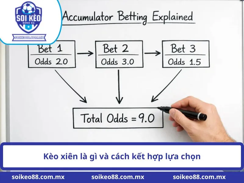 Kèo Xiên Là Gì Trong Bóng Đá Và Cách Hoạt Động 1 Kèo xiên là gì và cách kết hợp lựa chọn