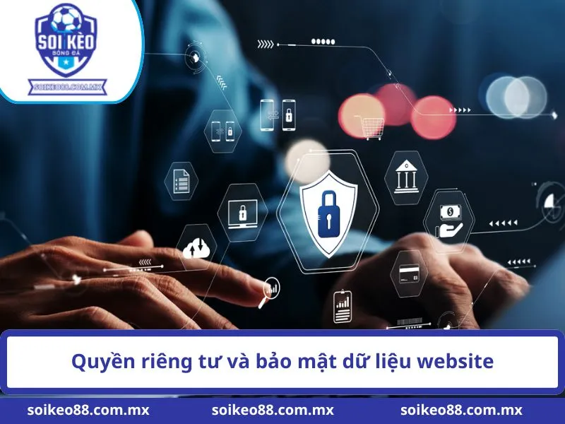 Quyền riêng tư và bảo mật 3 Quyền riêng tư và bảo mật dữ liệu website