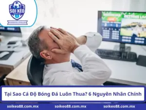 Tại Sao Cá Độ Bóng Đá Luôn Thua? 6 Nguyên Nhân Chính