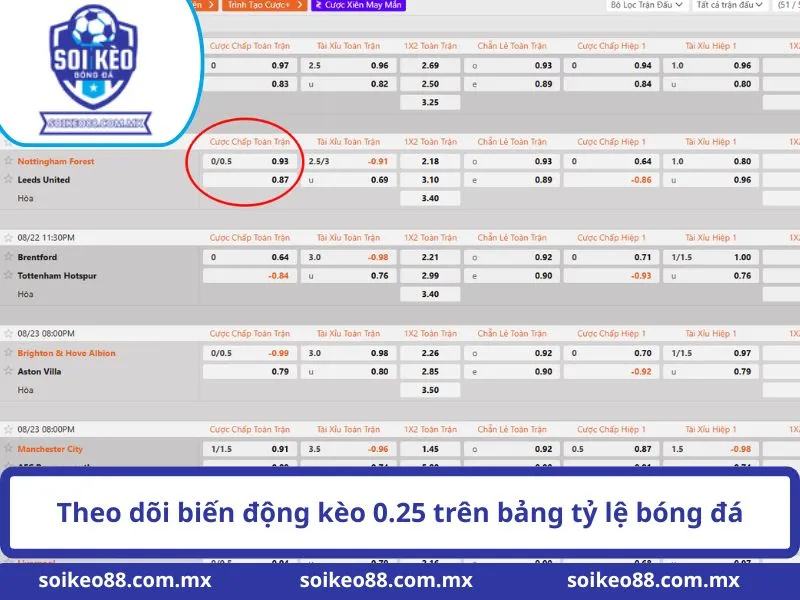 Kèo 0-0.5 Là Gì? Cách Đọc Tỷ Lệ Bóng Đá Chuẩn Xác 2 Theo dõi biến động kèo 0.25 trên bảng tỷ lệ bóng đá